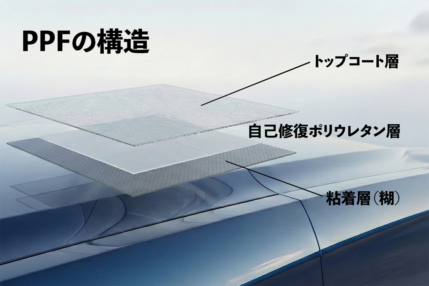 PPFの構造