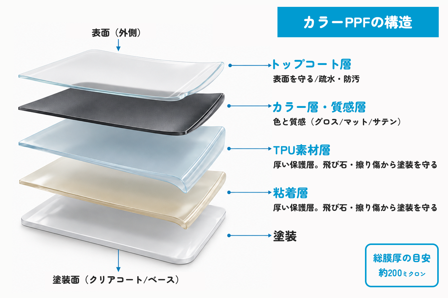 カラーPPF 4層構造図 トップコート・カラー層・TPU・粘着層